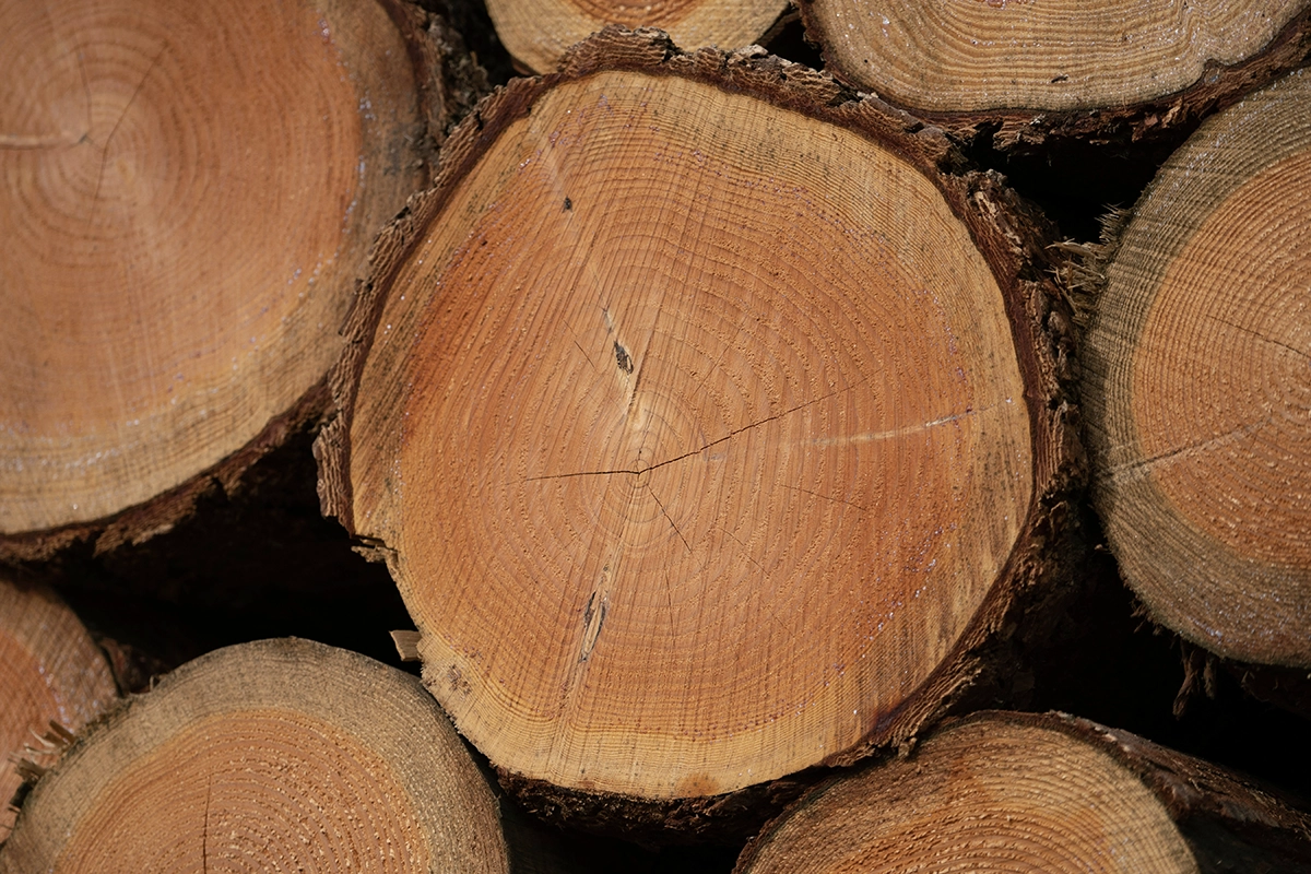 The Top Wood Choices Among Interior Designers