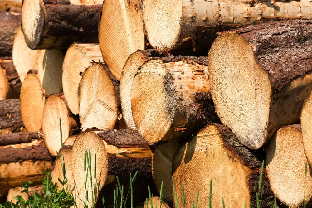 The Top Wood Choices Among Interior Designers