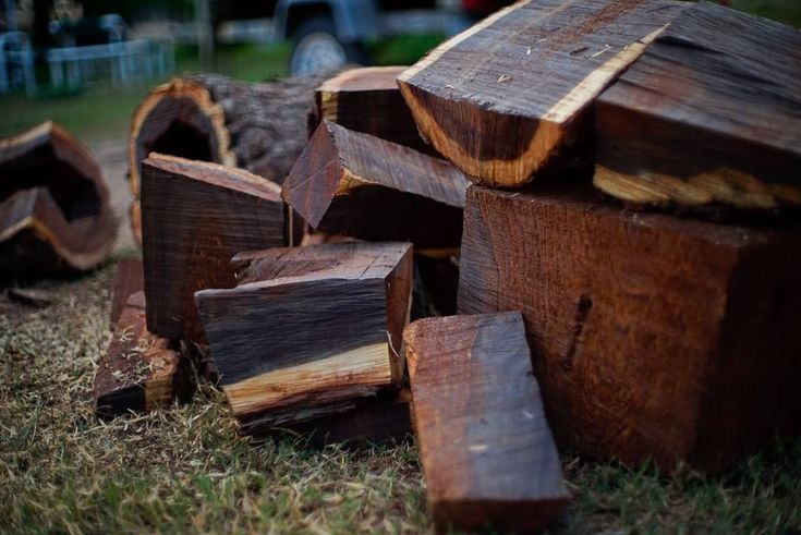 Discover the Perfect Wood Types for Your Interior Style